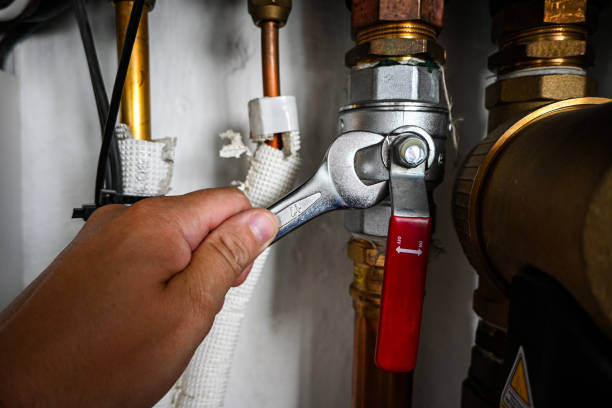 Best Emergency Plumber  in Ida Grove, IA